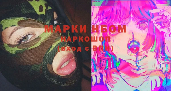 бошки Белокуриха