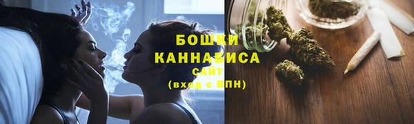 бошки Белокуриха