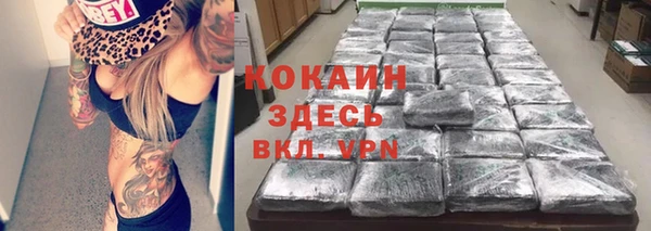 бошки Белокуриха