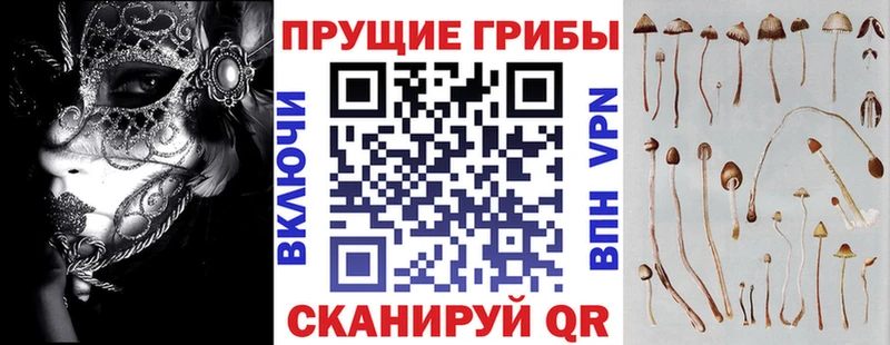 Псилоцибиновые грибы мухоморы  hydra ссылки  Первомайск 