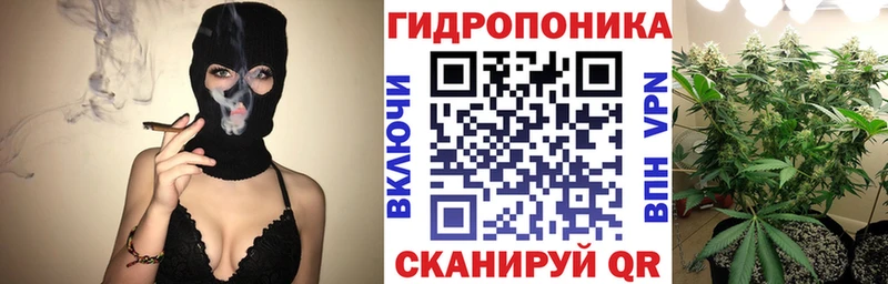 MEGA онион  Первомайск  Канабис семена  купить наркотики сайты 